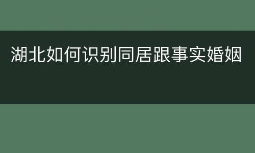 湖北如何识别同居跟事实婚姻