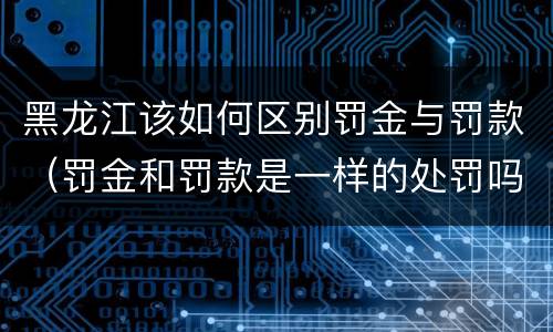 黑龙江该如何区别罚金与罚款（罚金和罚款是一样的处罚吗）