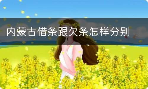 内蒙古借条跟欠条怎样分别