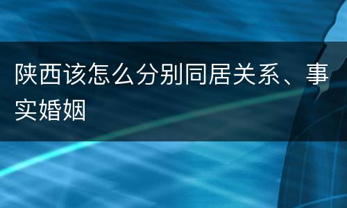 陕西该怎么分别同居关系、事实婚姻