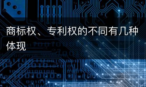 商标权、专利权的不同有几种体现