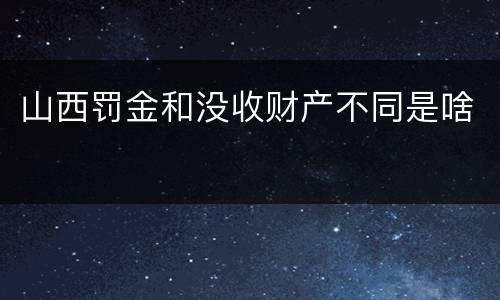 山西罚金和没收财产不同是啥