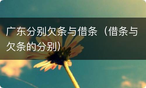 广东分别欠条与借条（借条与欠条的分别）
