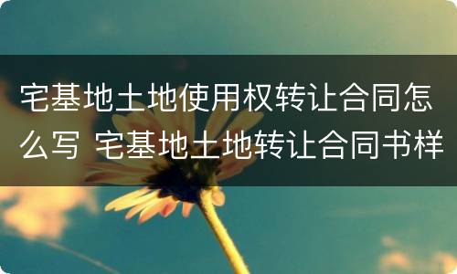 宅基地土地使用权转让合同怎么写 宅基地土地转让合同书样本