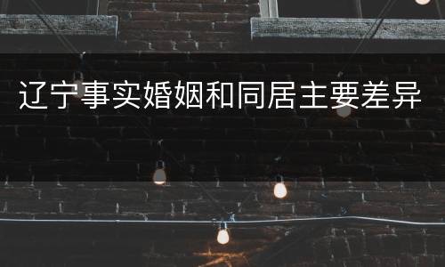 辽宁事实婚姻和同居主要差异