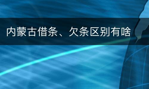 内蒙古借条、欠条区别有啥