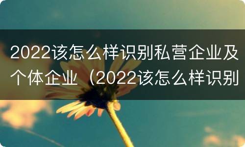 2022该怎么样识别私营企业及个体企业（2022该怎么样识别私营企业及个体企业呢）
