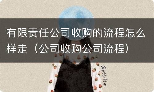 有限责任公司收购的流程怎么样走（公司收购公司流程）