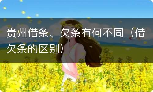 贵州借条、欠条有何不同（借欠条的区别）
