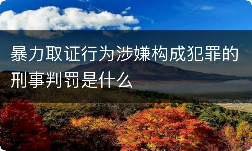 暴力取证行为涉嫌构成犯罪的刑事判罚是什么
