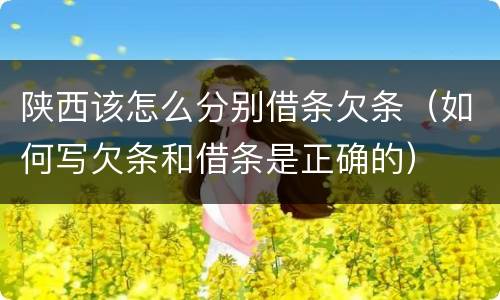 陕西该怎么分别借条欠条（如何写欠条和借条是正确的）