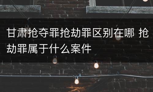 甘肃抢夺罪抢劫罪区别在哪 抢劫罪属于什么案件