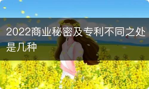 2022商业秘密及专利不同之处是几种