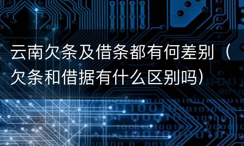 云南欠条及借条都有何差别（欠条和借据有什么区别吗）