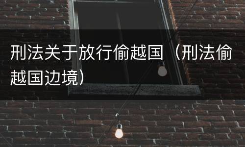 刑法关于放行偷越国（刑法偷越国边境）
