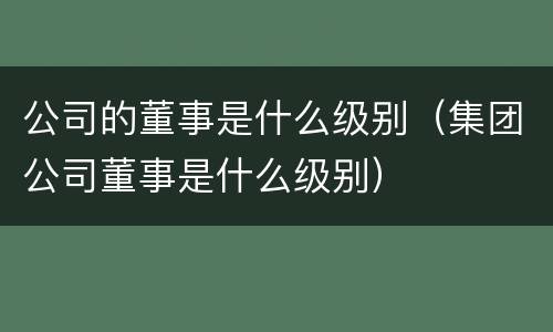 公司的董事是什么级别（集团公司董事是什么级别）