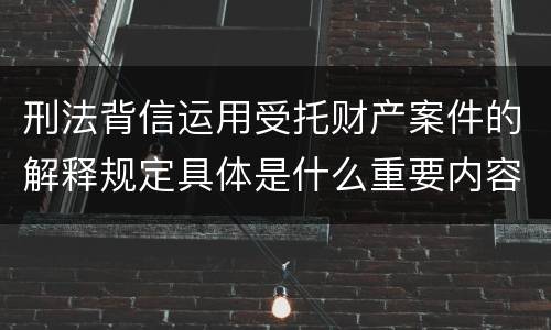 刑法背信运用受托财产案件的解释规定具体是什么重要内容