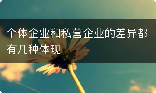 个体企业和私营企业的差异都有几种体现