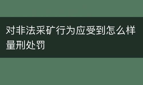 对非法采矿行为应受到怎么样量刑处罚