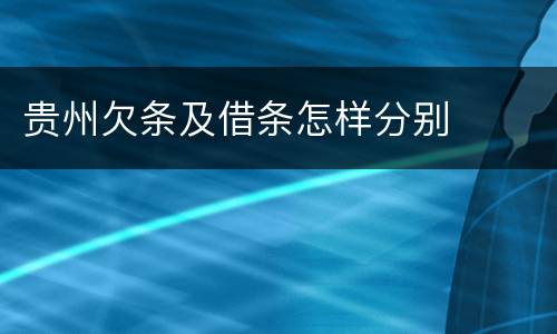 贵州欠条及借条怎样分别