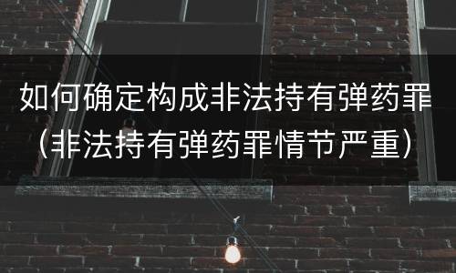 如何确定构成非法持有弹药罪（非法持有弹药罪情节严重）