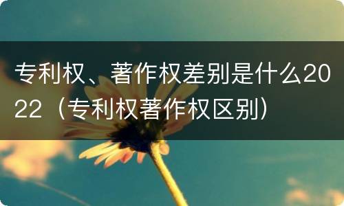 专利权、著作权差别是什么2022（专利权著作权区别）