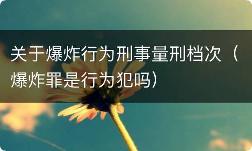 关于爆炸行为刑事量刑档次（爆炸罪是行为犯吗）