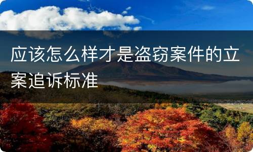 应该怎么样才是盗窃案件的立案追诉标准