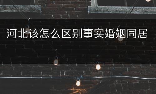 河北该怎么区别事实婚姻同居