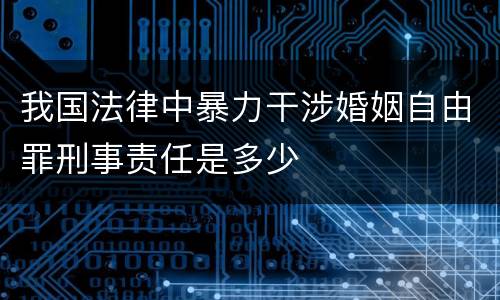 我国法律中暴力干涉婚姻自由罪刑事责任是多少