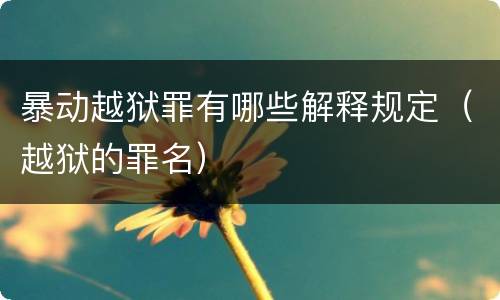 暴动越狱罪有哪些解释规定（越狱的罪名）