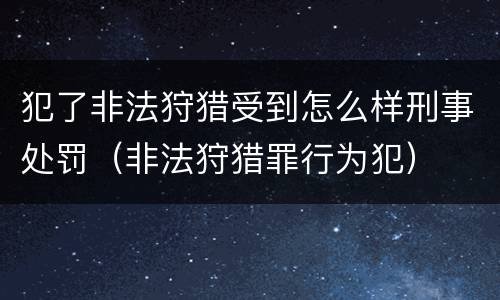 犯了非法狩猎受到怎么样刑事处罚（非法狩猎罪行为犯）
