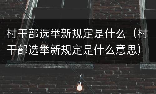 村干部选举新规定是什么（村干部选举新规定是什么意思）