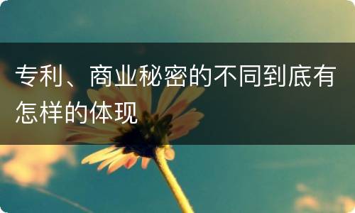 专利、商业秘密的不同到底有怎样的体现