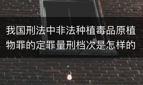 我国刑法中非法种植毒品原植物罪的定罪量刑档次是怎样的
