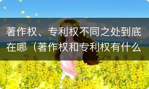 著作权、专利权不同之处到底在哪（著作权和专利权有什么区别）