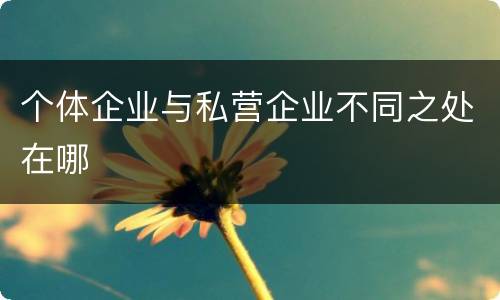 个体企业与私营企业不同之处在哪