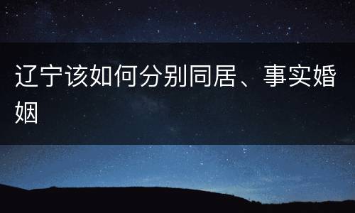 辽宁该如何分别同居、事实婚姻