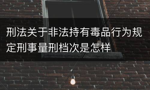 刑法关于非法持有毒品行为规定刑事量刑档次是怎样