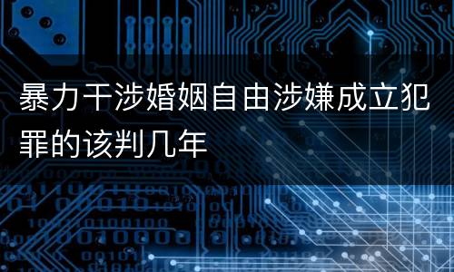 暴力干涉婚姻自由涉嫌成立犯罪的该判几年