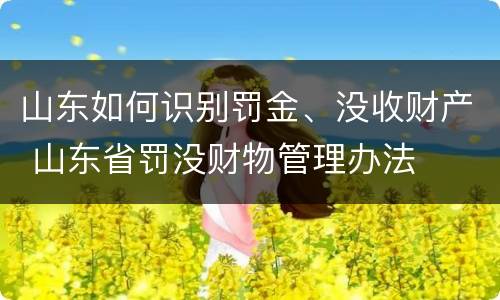 山东如何识别罚金、没收财产 山东省罚没财物管理办法