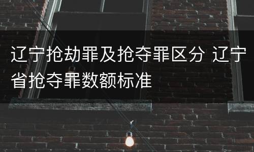 辽宁抢劫罪及抢夺罪区分 辽宁省抢夺罪数额标准