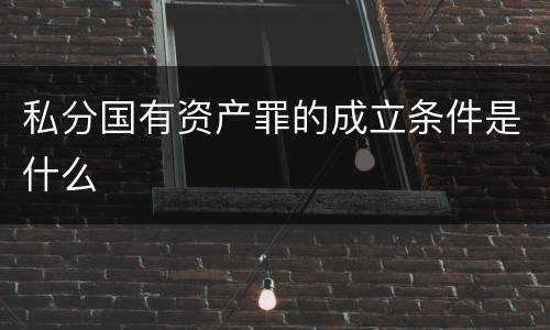 私分国有资产罪的成立条件是什么