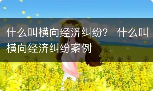 什么叫横向经济纠纷？ 什么叫横向经济纠纷案例