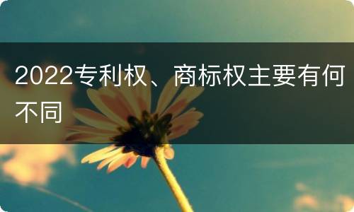 2022专利权、商标权主要有何不同