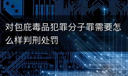 对包庇毒品犯罪分子罪需要怎么样判刑处罚