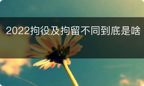 2022拘役及拘留不同到底是啥