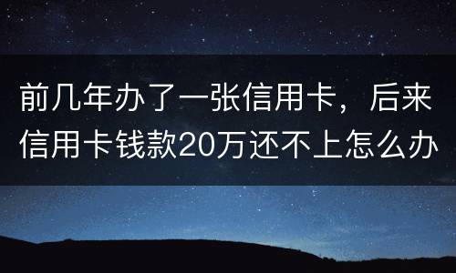 前几年办了一张信用卡，后来信用卡钱款20万还不上怎么办。