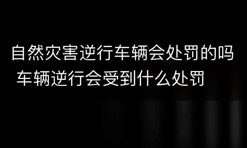 自然灾害逆行车辆会处罚的吗 车辆逆行会受到什么处罚