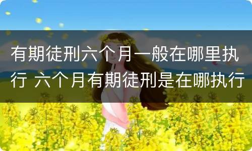 有期徒刑六个月一般在哪里执行 六个月有期徒刑是在哪执行
